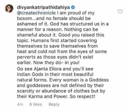 Troller Told Divyanka, "Besharam, You Purposely Wear Vulgar Clothes". She Shut Him With This Reply - RVCJ Media