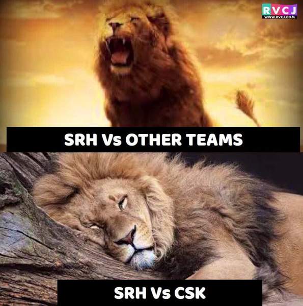 16 Best Memes On CSK v/s SRH Final. They Will Make All CSK Fans Proud RVCJ Media