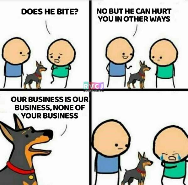 12 Hilarious Memes On Race 3 Dialogue "Our Business Is Our Business, None Of Your Business" - RVCJ Media