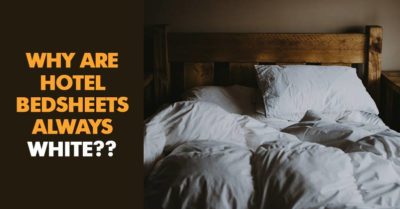 Did You Notice That Hotel Rooms Mostly Have White Colour Bedsheets? Here's The Reason Behind This RVCJ Media