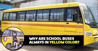 Why Are School Buses Always Painted With Yellow Colour? This Is The Big Reason RVCJ Media