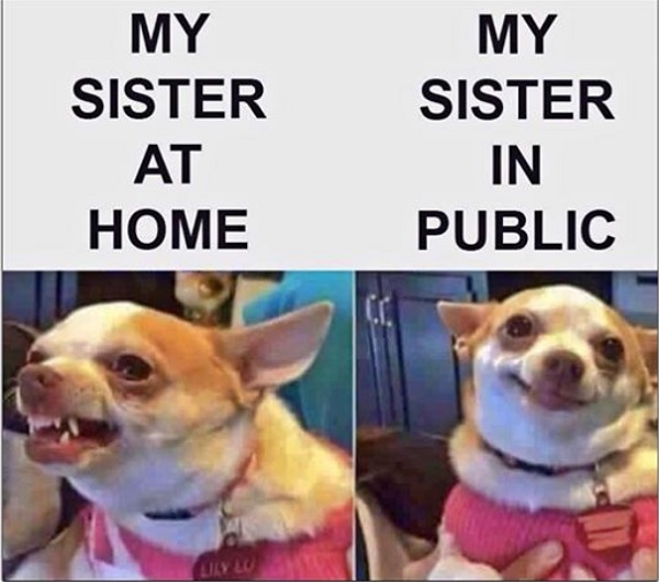 Deepika’s Sister Trolled Her With A Funny Meme. Deepika Took A Hilarious Revenge 3 Deepika’s Sister Trolled Her With A Funny Meme. Deepika Took A Hilarious Revenge - RVCJ Media