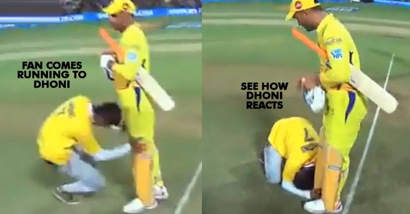 Fan Came Running On Field & Fell On Dhoni's Feet. Watch Dhoni's Reaction RVCJ Media