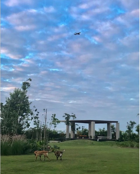 Ms Dhoni’s 7-Acre Farmhouse In Ranchi Is What Many Of Us Can Only Dream For. Pics Are Beautiful 4 MS Dhoni’s 7-Acre Farmhouse In Ranchi Is What Many Of Us Can Only Dream For. Pics Are Beautiful - RVCJ Media