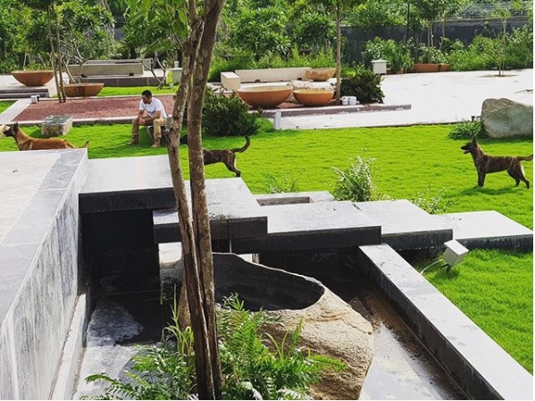 Ms Dhoni’s 7-Acre Farmhouse In Ranchi Is What Many Of Us Can Only Dream For. Pics Are Beautiful 5 MS Dhoni’s 7-Acre Farmhouse In Ranchi Is What Many Of Us Can Only Dream For. Pics Are Beautiful - RVCJ Media