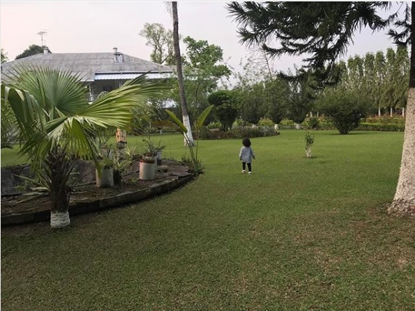 Ms Dhoni’s 7-Acre Farmhouse In Ranchi Is What Many Of Us Can Only Dream For. Pics Are Beautiful 6 MS Dhoni’s 7-Acre Farmhouse In Ranchi Is What Many Of Us Can Only Dream For. Pics Are Beautiful - RVCJ Media
