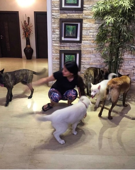 Ms Dhoni’s 7-Acre Farmhouse In Ranchi Is What Many Of Us Can Only Dream For. Pics Are Beautiful 11 MS Dhoni’s 7-Acre Farmhouse In Ranchi Is What Many Of Us Can Only Dream For. Pics Are Beautiful - RVCJ Media