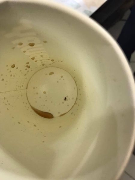 Live Cockroach Found In Customer'S Drink At Subway. Restaurant Closed After It Was Raided 3 Live Cockroach Found In Customer's Drink At Subway. Restaurant Closed After It Was Raided - RVCJ Media