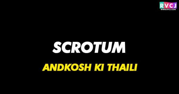 12 English Words That Everyone Uses Daily But No One Knows The Hindi Meaning - RVCJ Media