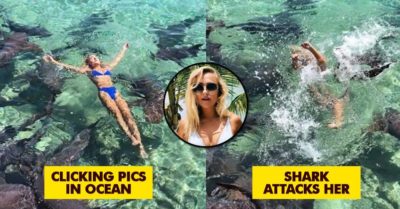 Model Wanted To Click Pics With Sharks And Started Swimming With Them. What Followed Is Scary RVCJ Media