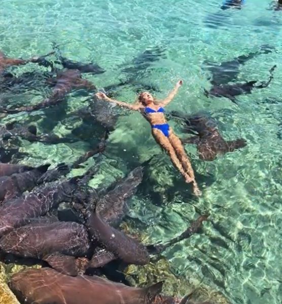 Model Wanted To Click Pics With Sharks And Started Swimming With Them. What Followed Is Scary 2 Model Wanted To Click Pics With Sharks And Started Swimming With Them. What Followed Is Scary - RVCJ Media