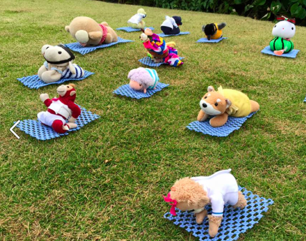 Your Soft Toy Can Now Travel To Beautiful Places Without You. This Is A Creative Business Idea - RVCJ Media