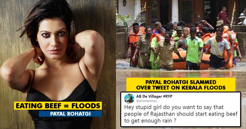 Payal Rohatgi Rvcj Media