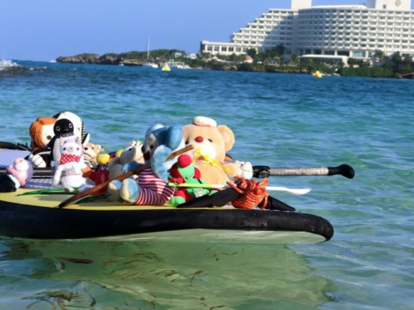 Your Soft Toy Can Now Travel To Beautiful Places Without You. This Is A Creative Business Idea - RVCJ Media