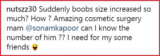 Sonam Kapoor Trolled On Instagram For Bigger B**BS. People Called It Hard Work Of Husband Anand - RVCJ Media