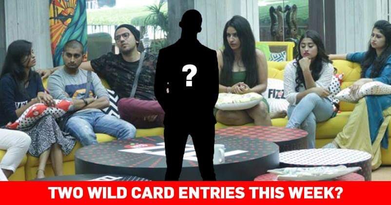 Meet Big Boss Season 12 New Wild Card Entries: Rohit Suchanti & Megha Dhade RVCJ Media
