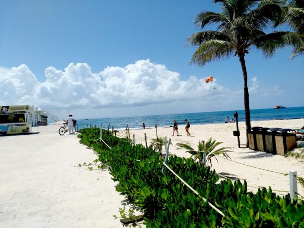 https://images.pexels.com/photos/1113686/pexels-photo-1113686.jpeg?cs=srgb&dl=mexico-playa-del-carmen-riviera-maya-1113686.jpg&fm=jpg