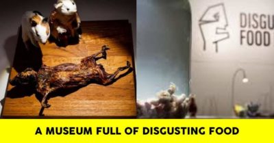 Feeling Hungry? You Just Cannot Miss The Disgusting Food Museum In Sweden RVCJ Media