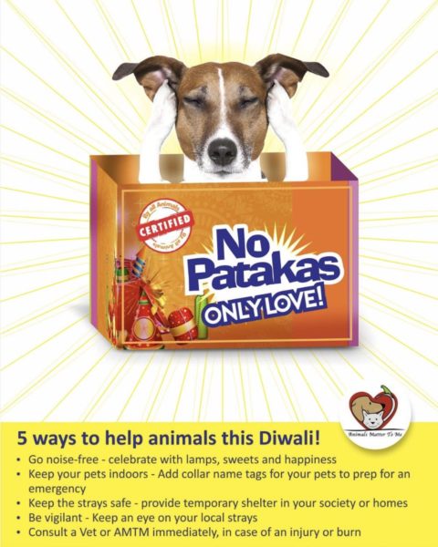 John Abraham Gave Gyaan Of Not Burning Crackers This Diwali, Got Trolled In The Most Epic Way - RVCJ Media