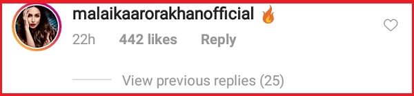 Arjun Kapoor and Malaika Arora's Instagram PDA Is One More Proof That They Are Dating - RVCJ Media