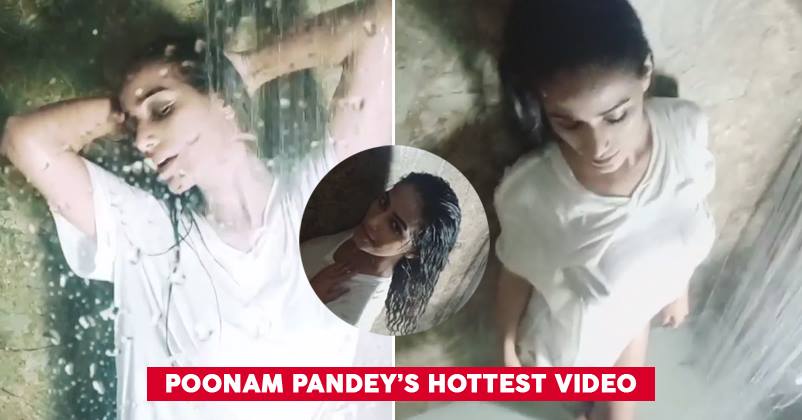 poonam-cover