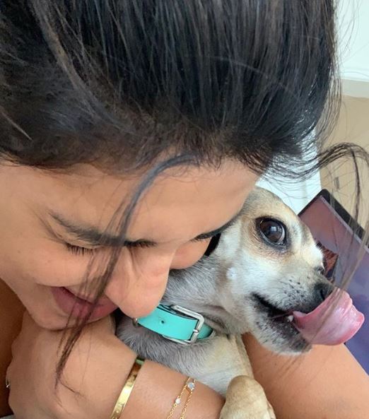 Priyanka Chopra Was Badly Trolled And Was Compared To Her Pet. This Is How She Reacted To It - RVCJ Media