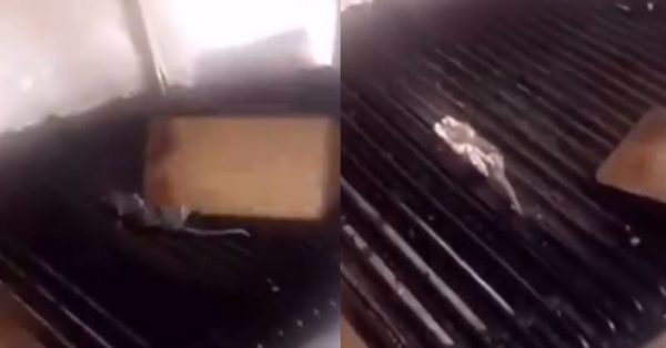 Feeling Hungry? Watch This Disgusting Video Of Restaurant Employees Grilling Dead Rat - RVCJ Media