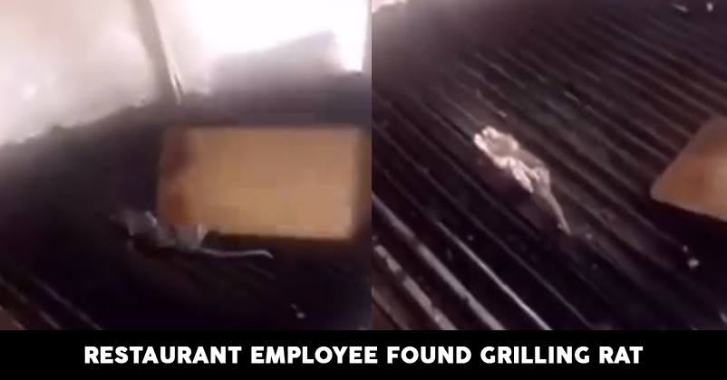 Feeling Hungry? Watch This Disgusting Video Of Restaurant Employees Grilling Dead Rat RVCJ Media