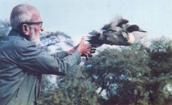Meet Salim Ali, The Real Life Inspiration For 2.0's Pakshi Raja - RVCJ Media
