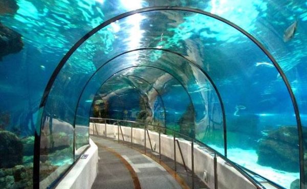 Soon There Will Be An Underwater Train Between Mumbai And UAE. It's Unbelievable RVCJ Media