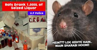 Police Officers Blame Rats For Drinking 1000 Litres Of Seized Alcohol In Uttar Pradesh RVCJ Media