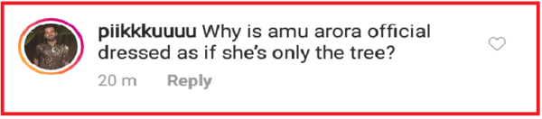 Amrita Arora Gets Badly Trolled For Her Dress, People Compared Her To A Christmas Tree - RVCJ Media