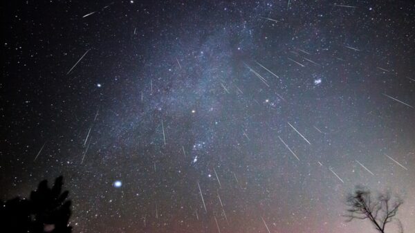 Gemenid Meteor Shower To Light Up The Sky Tonight. Here's How You Can Witness The Magic In Sky - RVCJ Media