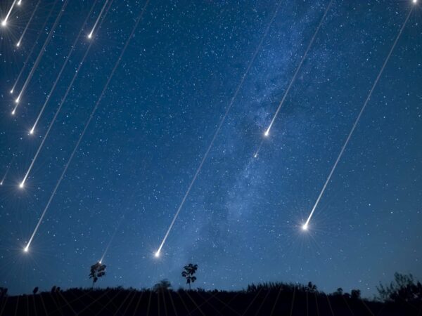 Gemenid Meteor Shower To Light Up The Sky Tonight. Here's How You Can Witness The Magic In Sky - RVCJ Media