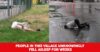 People Are Randomly Falling Asleep In This Village, What's The Mystery Behind It? RVCJ Media