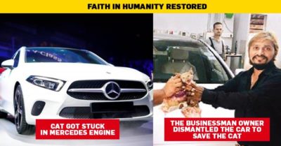Businessman Dismantled His Mercedes To Save A Cat. His Story Will Restore Your Faith In Humanity RVCJ Media