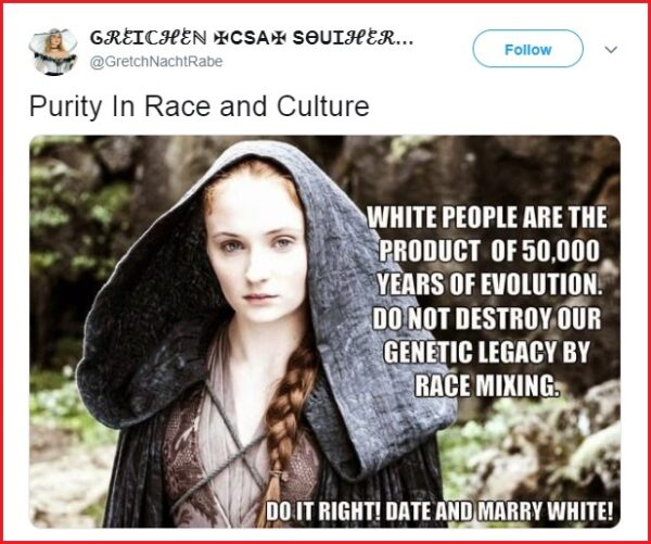 Sophie Turner Slammed Twitter User For Using Her Meme To Promote Racism, Twitter Applauded Her - RVCJ Media