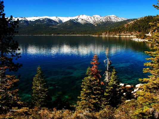 8 Places Around The World Where Selfies Are Banned, Would You Visit These Places? - RVCJ Media