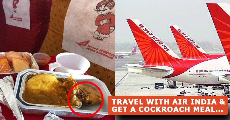 Man Found Cockroach In Food In Air India, Airline Apologised After He Shared Pics On Social Media RVCJ Media
