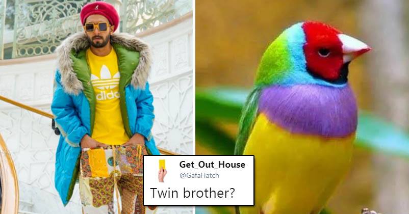 Ranveer Again Trolled For Wearing Weird Outfits. Fans Compared His Dresses  To Parrot & Blankets - RVCJ Media