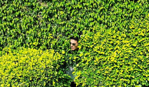Akshay Kumar Tweets A Post After Release Of “Kesari” & It Is Now A Viral Meme On Twitter - RVCJ Media