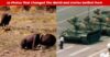 20 Photos That Changed The World And Stories Behind Them RVCJ Media