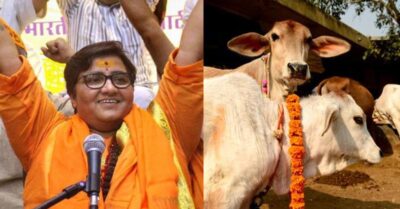 BJP Candidate Sadhvi Pragya Thakur To Popularise Cow Urine After Winning The Polls RVCJ Media
