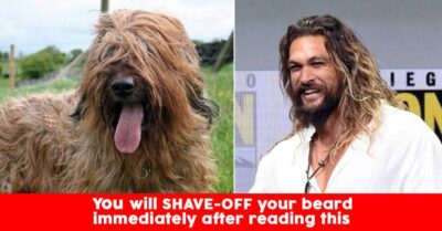 Bearded Men Has More Bacteria Than Dog's Fur RVCJ Media