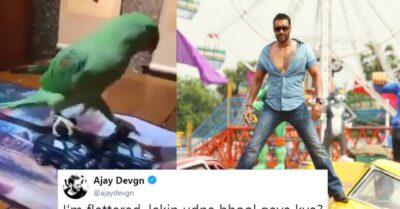 Ajay Devgn & Riteish Had A Funny Banter Over Video Of A Parrot Doing Stunt On Two Cars RVCJ Media