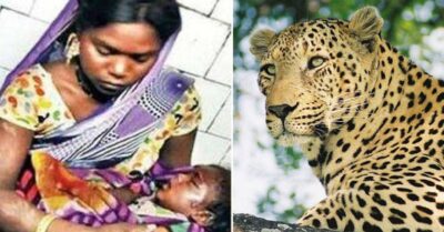 18 Month Old Child Was Saved By Her Mother From The Leopard's Mouth RVCJ Media