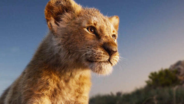 The Lion King Trailer Is Here And It's Stunning - RVCJ Media