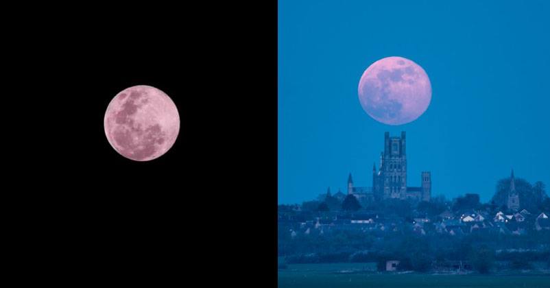 Pink Moon 2019 Takes Twitter By Storm, People Share Gorgeous Pics And You Can't Miss Them RVCJ Media