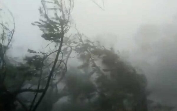 Cyclone Fani Live Updates: 6 People Died In Odisha, Kolkata Airport Will Be Shut Till Saturday Evening 2 Cyclone Fani Live Updates: 6 People Died In Odisha, Kolkata Airport Will Be Shut Till Saturday Evening - RVCJ Media