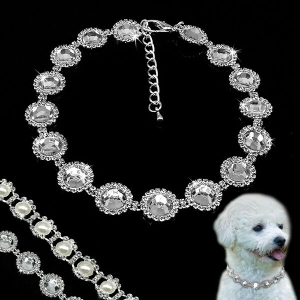 10 Insane Things Super-Rich People Bought, Just Because They Could - RVCJ Media